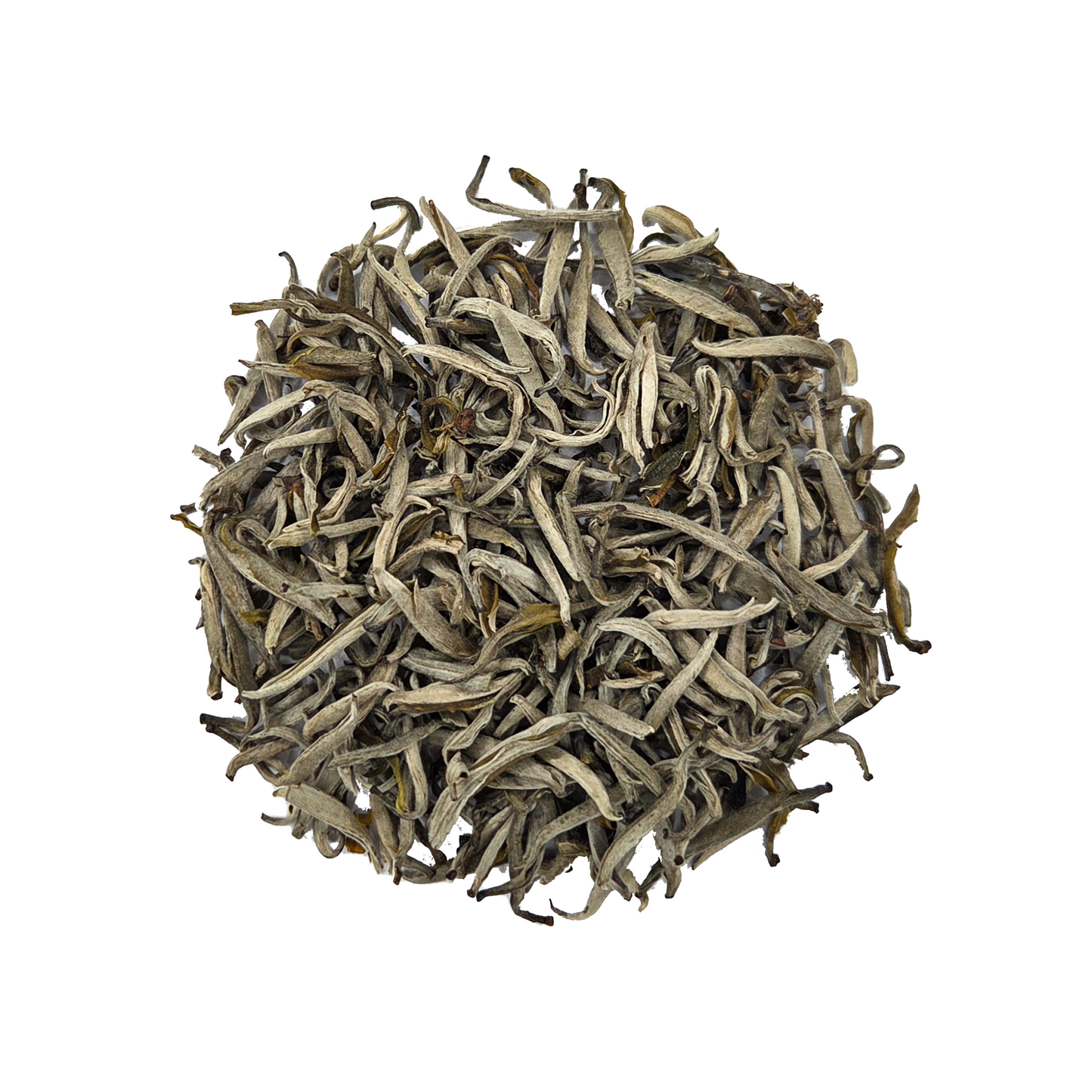 Белые Почки с диких деревьев из деревни Као Бо