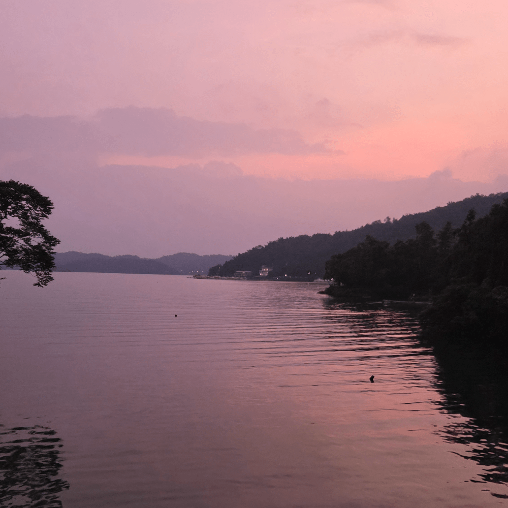 Белый чай "Красная мелодия" с озера Солнца и Луны - Amitea