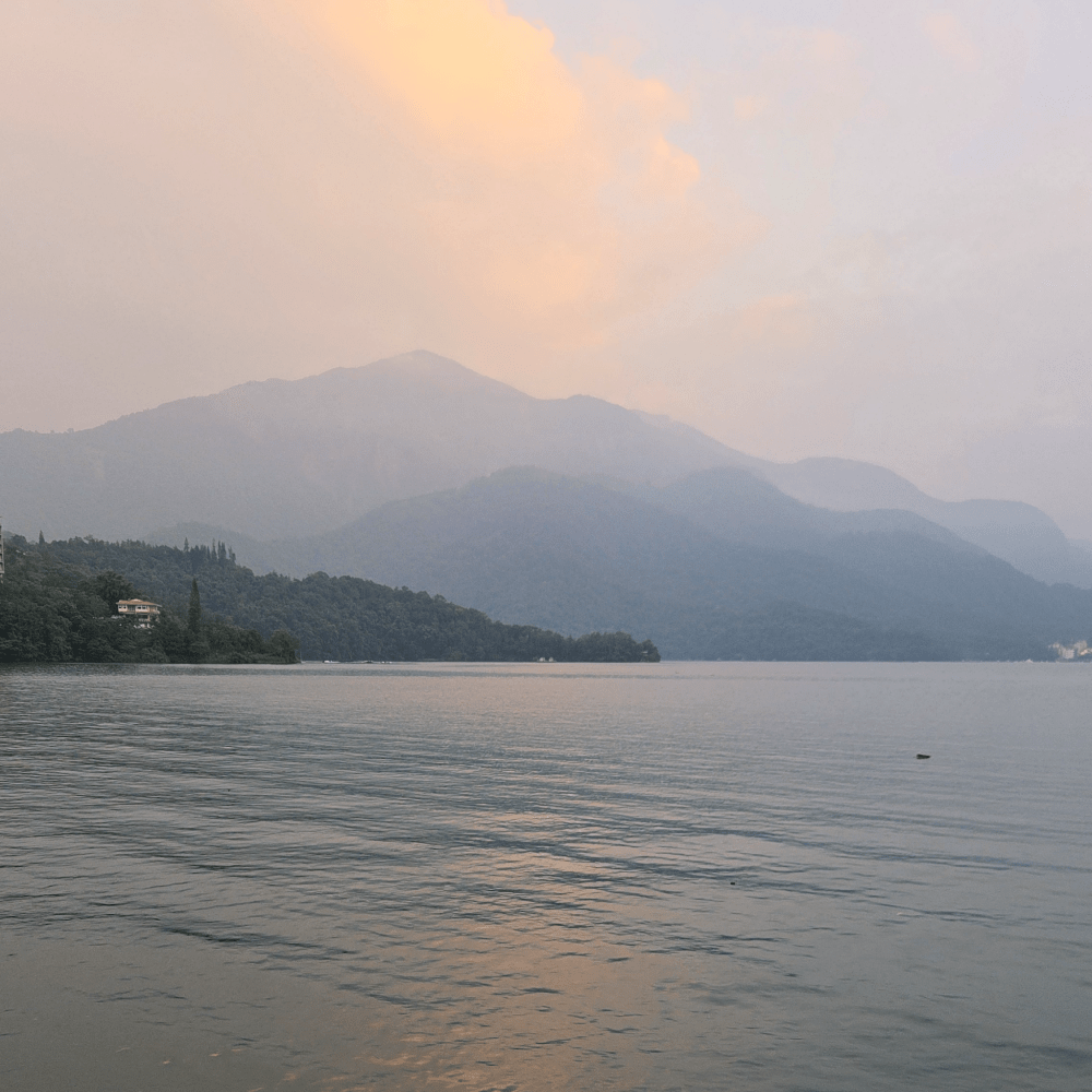 Белый чай "Рубин №18" с озера Солнца и Луны - Amitea