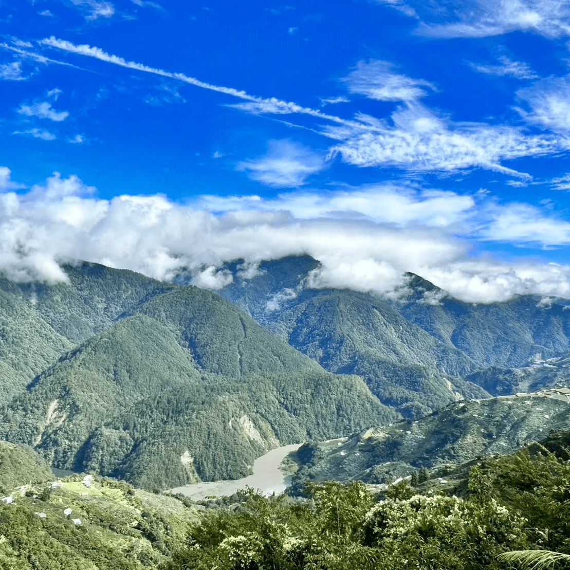 Улун c Грушевой горы - Amitea