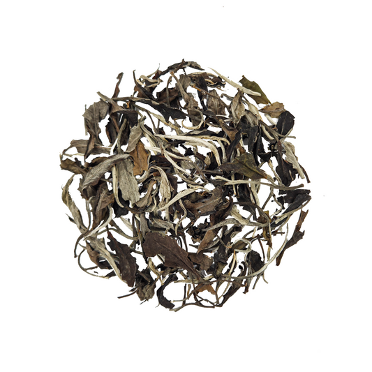 Брови Старца из деревни Као Бо