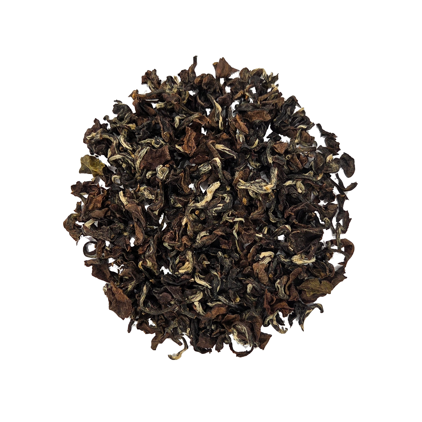 היפיפיה דרום־מזרחית