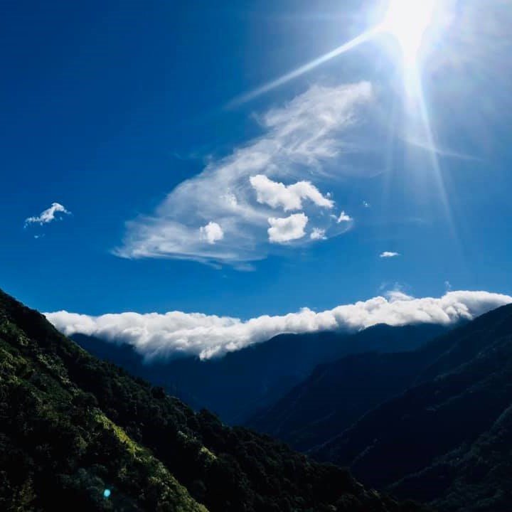 Красный чай юного сердца из Жэнь Ай - Amitea