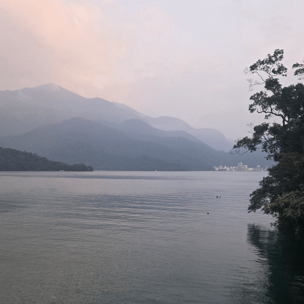 "Рубин №18" с медовым ароматом с озера Солнца и Луны - Amitea