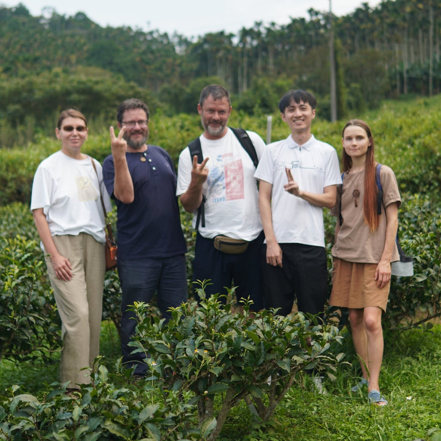 "Рубин №18" с медовым ароматом с озера Солнца и Луны - Amitea